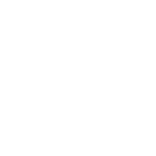 TikTok digifact