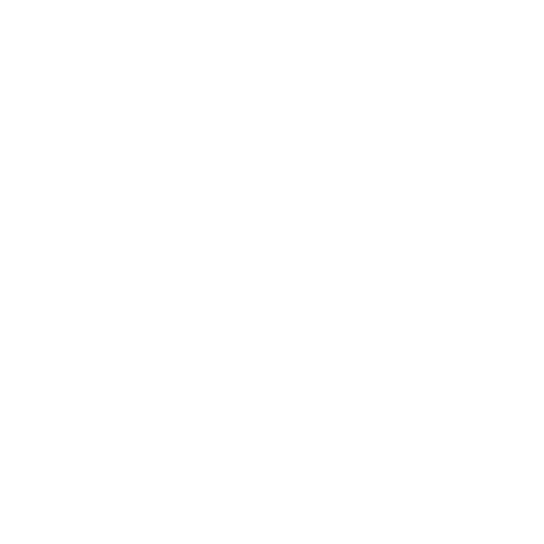 YouTube digifact